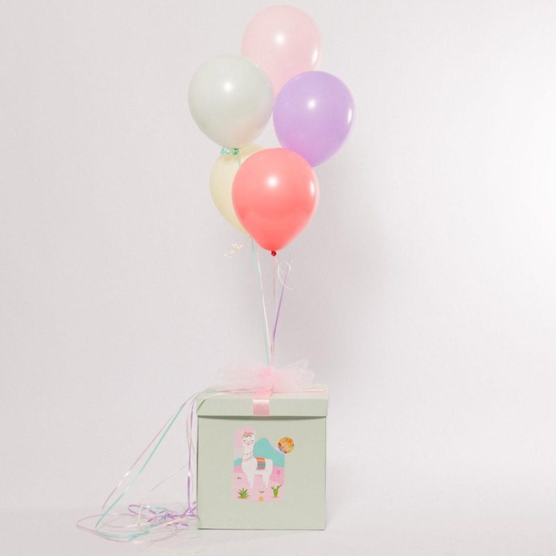 Surprise-box_06_lama