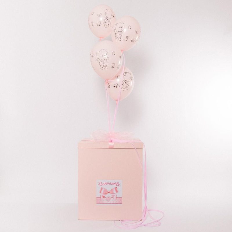 Surprise-box_13_nascita-rosa